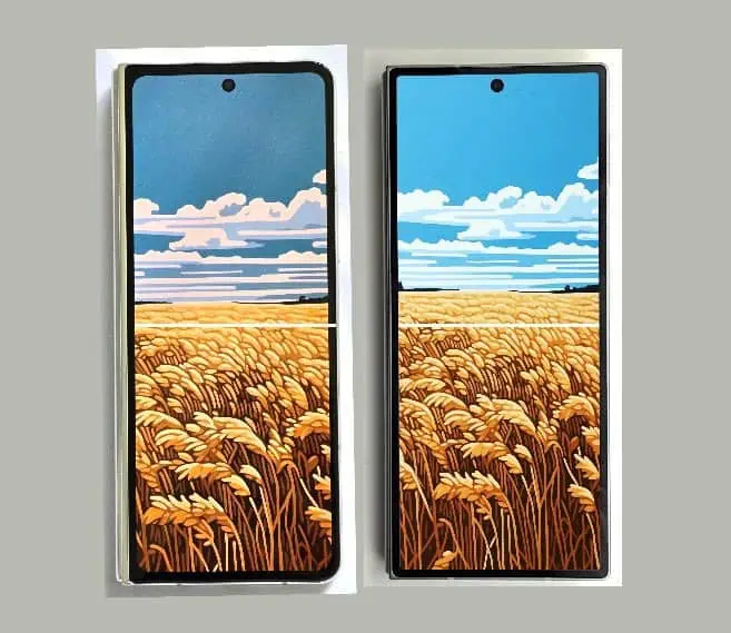 Le Samsung Galaxy Z Fold 6 a divulgué une image de conception avant complète en première main