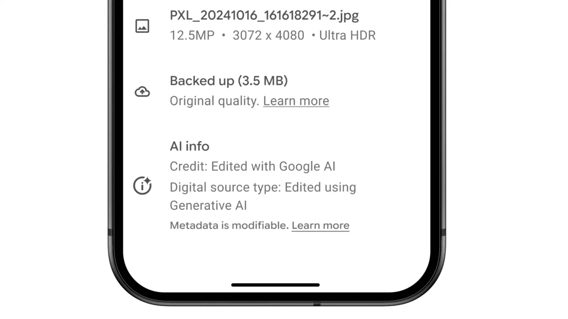 Section Google Photos AI Info