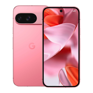 Box Google Pixel 9 Comp