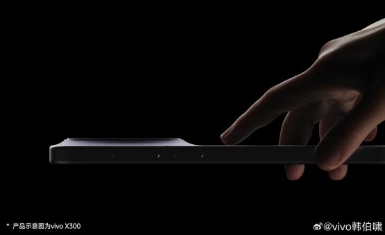 Conception Vivo x300