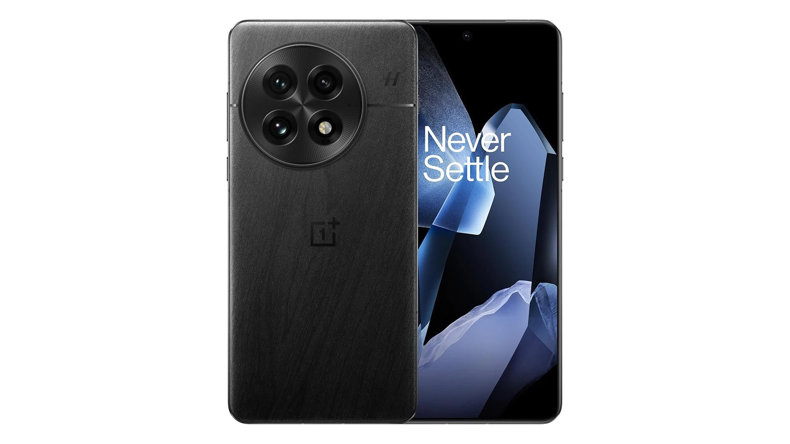 OnePlus 13