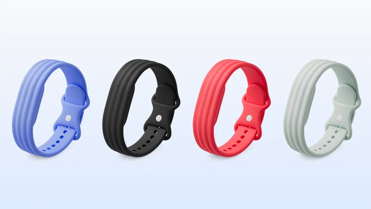 Bracelets actifs Fitbit Air