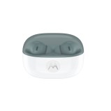 Motorola bourgeons 2