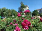Exemples d'appareil photo : 1x - f/1.9, ISO 121, 1/1239s (4608x3456px) - Examen pratique du RugOne Xever 8