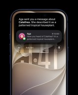 Siri IA