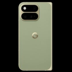 Google Pixel 11 Pro Fold fuit dans une nouvelle teinte Pine