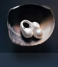 Couleurs du clip OnePlus Buds
