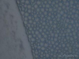 Surface transparente ou nano-texturée sur l'écran principal du Duo (source : iFixit)