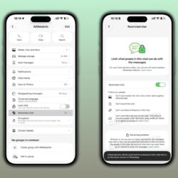 La fonctionnalité de chat restreint de WhatsApp est désormais disponible pour les utilisateurs bêta sur Android et iOS