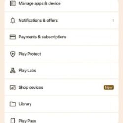 Le Play Store de Google vend désormais des appareils Pixel et Samsung dans certaines régions