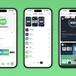 WhatsApp apporte son hub multimédia aux iPhones